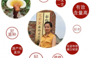 哪个地方产的灵芝孢子粉正宗？