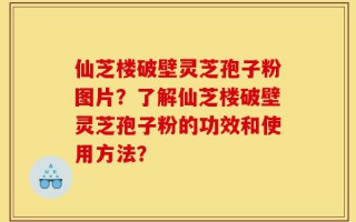 仙芝楼破壁灵芝孢子粉图片？了解仙芝楼破壁灵芝孢子粉的功效和使用方法？