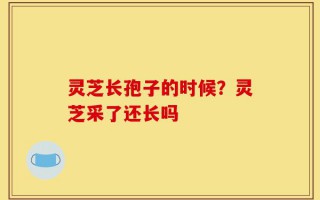 灵芝长孢子的时候？灵芝采了还长吗