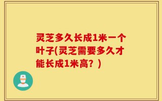 灵芝多久长成1米一个叶子(灵芝需要多久才能长成1米高？)