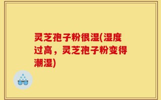灵芝孢子粉很湿(湿度过高，灵芝孢子粉变得潮湿)