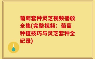 葡萄套种灵芝视频播放全集(完整视频：葡萄种植技巧与灵芝套种全纪录)