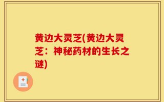 黄边大灵芝(黄边大灵芝：神秘药材的生长之谜)