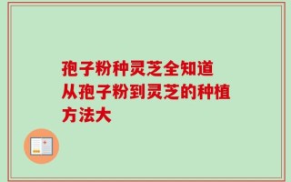 孢子粉种灵芝全知道 从孢子粉到灵芝的种植方法大