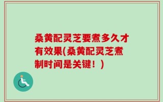 桑黄配灵芝要煮多久才有效果(桑黄配灵芝煮制时间是关键！)