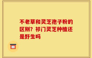 不老草和灵芝孢子粉的区别？祁门灵芝种植还是野生吗