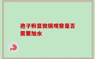 孢子粉显微镜观察是否需要加水
