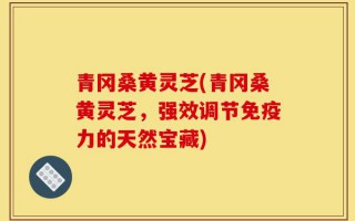 青冈桑黄灵芝(青冈桑黄灵芝，强效调节免疫力的天然宝藏)