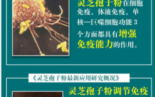 为什么说灵芝孢子粉是提高免疫力的必备佳品？