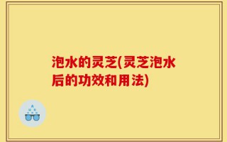 泡水的灵芝(灵芝泡水后的功效和用法)