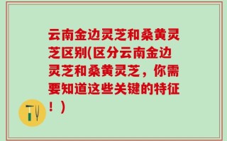 云南金边灵芝和桑黄灵芝区别(区分云南金边灵芝和桑黄灵芝，你需要知道这些关键的特征！)
