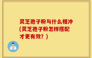 灵芝孢子粉与什么相冲(灵芝孢子粉怎样搭配才更有效？)