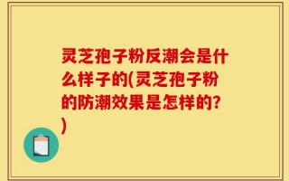 灵芝孢子粉反潮会是什么样子的(灵芝孢子粉的防潮效果是怎样的？)