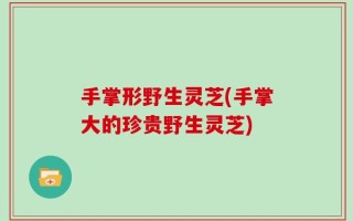 手掌形野生灵芝(手掌大的珍贵野生灵芝)