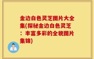 金边白色灵芝图片大全集(探秘金边白色灵芝：丰富多彩的全貌图片集锦)