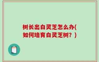 树长出白灵芝怎么办(如何培育白灵芝树？)