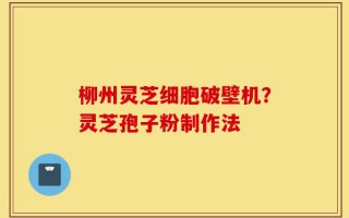 柳州灵芝细胞破壁机？灵芝孢子粉制作法