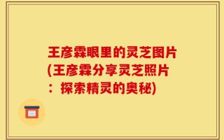 王彦霖眼里的灵芝图片(王彦霖分享灵芝照片：探索精灵的奥秘)