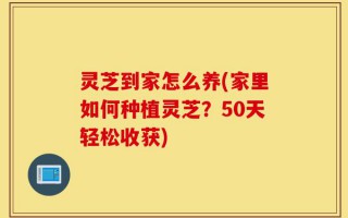 灵芝到家怎么养(家里如何种植灵芝？50天轻松收获)