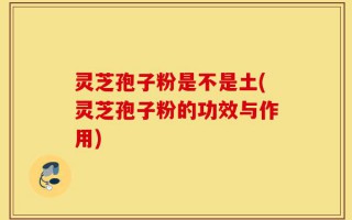 灵芝孢子粉是不是土(灵芝孢子粉的功效与作用)