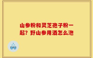 山参粉和灵芝孢子粉一起？野山参用酒怎么泡