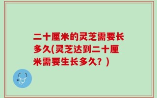 二十厘米的灵芝需要长多久(灵芝达到二十厘米需要生长多久？)