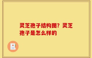 灵芝孢子结构图？灵芝孢子是怎么样的
