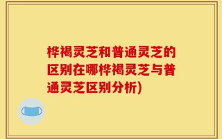 桦褐灵芝和普通灵芝的区别在哪桦褐灵芝与普通灵芝区别分析)