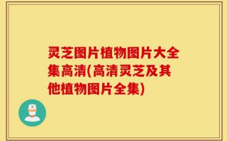 灵芝图片植物图片大全集高清(高清灵芝及其他植物图片全集)