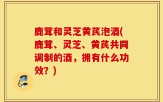 鹿茸和灵芝黄芪泡酒(鹿茸、灵芝、黄芪共同调制的酒，拥有什么功效？)