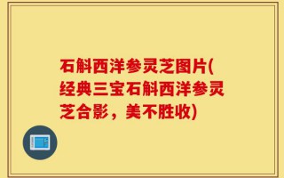 石斛西洋参灵芝图片(经典三宝石斛西洋参灵芝合影，美不胜收)