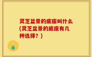灵芝盆景的底座叫什么(灵芝盆景的底座有几种选择？)