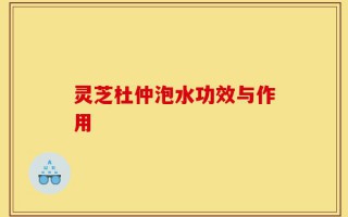 灵芝杜仲泡水功效与作用