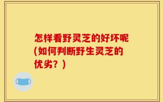怎样看野灵芝的好坏呢(如何判断野生灵芝的优劣？)