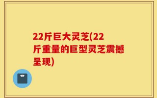 22斤巨大灵芝(22斤重量的巨型灵芝震撼呈现)
