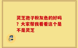 灵芝孢子粉灰色的好吗？大家帮我看看这个是不是灵芝