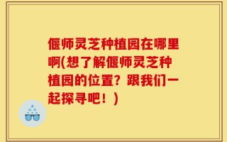 偃师灵芝种植园在哪里啊(想了解偃师灵芝种植园的位置？跟我们一起探寻吧！)