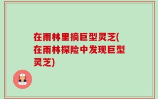 在雨林里摘巨型灵芝(在雨林探险中发现巨型灵芝)