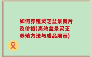 如何养殖灵芝盆景图片及价格(高效盆景灵芝养殖方法与成品展示)