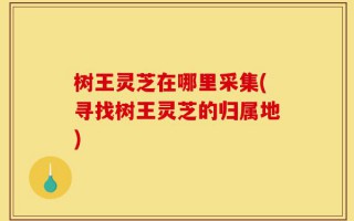 树王灵芝在哪里采集(寻找树王灵芝的归属地)