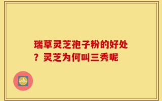 瑞草灵芝孢子粉的好处？灵芝为何叫三秀呢
