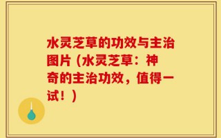 水灵芝草的功效与主治图片 (水灵芝草：神奇的主治功效，值得一试！)