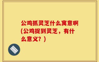 公鸡抓灵芝什么寓意啊(公鸡捉到灵芝，有什么意义？)