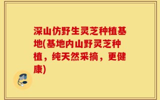 深山仿野生灵芝种植基地(基地内山野灵芝种植，纯天然采摘，更健康)