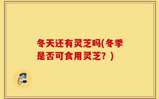 冬天还有灵芝吗(冬季是否可食用灵芝？)