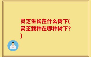 灵芝生长在什么树下(灵芝栽种在哪种树下？)