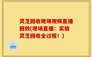 灵芝回收现场视频直播回放(现场直播：实拍灵芝回收全过程！)