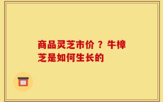 商品灵芝市价 ？牛樟芝是如何生长的