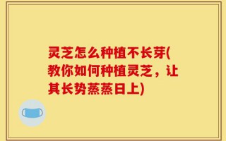 灵芝怎么种植不长芽(教你如何种植灵芝，让其长势蒸蒸日上)