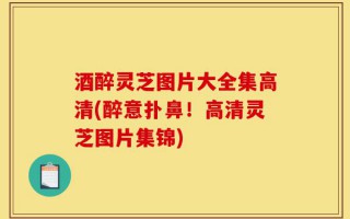 酒醉灵芝图片大全集高清(醉意扑鼻！高清灵芝图片集锦)
